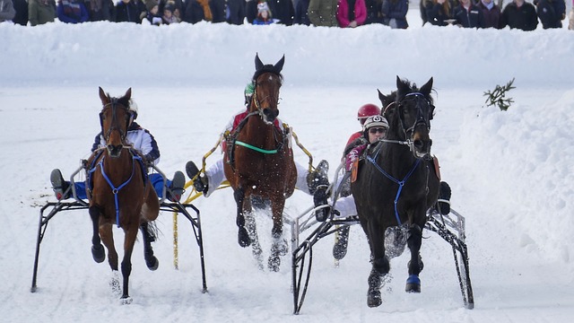 记者：于汉超正在参加B级教练培训班，下赛季将担任申花助教