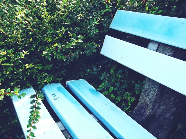 国赛奖牌+1，东职院男子手球代表队创佳绩