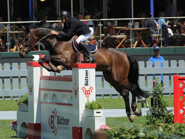 这助攻堪比视觉盛宴