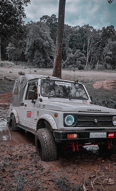 格方面迈出 格方面迈出