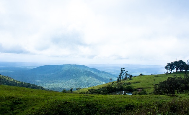 断的奋斗和 断的奋斗和