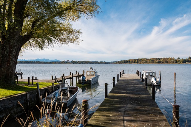 了一个鲜活 了一个鲜活