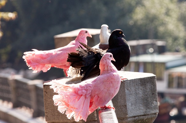 他曾提到 他曾提到