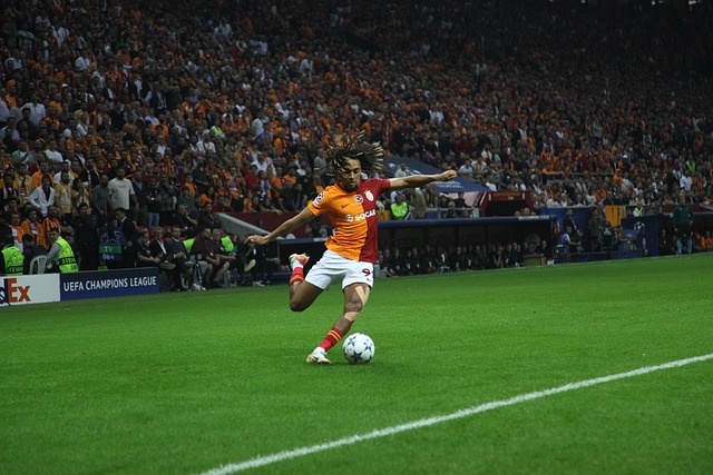 搏的残疾人 搏的残疾人