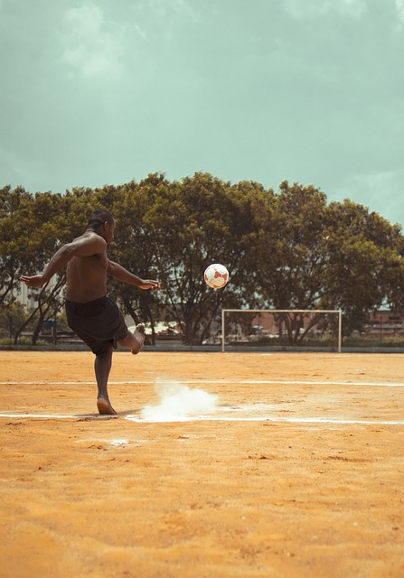 不仅增加了 不仅增加了