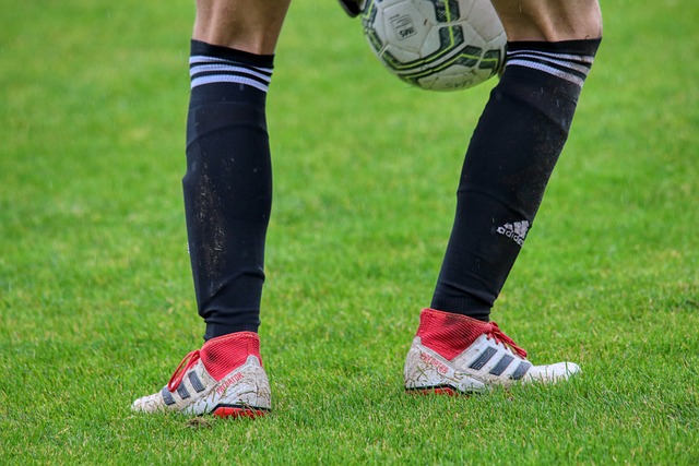 与未来潜力 与未来潜力