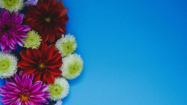 解析地震频 解析地震频